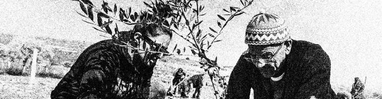 Sostegno al progetto Faz3a di protezione dei palestinesi in Cisgiordania