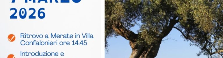 C’è un albero per ogni persona che sceglie la Pace